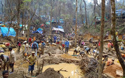 Miles de malgaches trabajan en medio de la selva tropical buscando su fortuna detrás de los zafiros. 