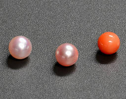 El color de estas perlas cultivadas varía del rosa al anaranjado.