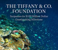 Tiffany & Co., supera los 100 millones de dólares de donación en su lucha contra la degradación de los ecosistemas marinos