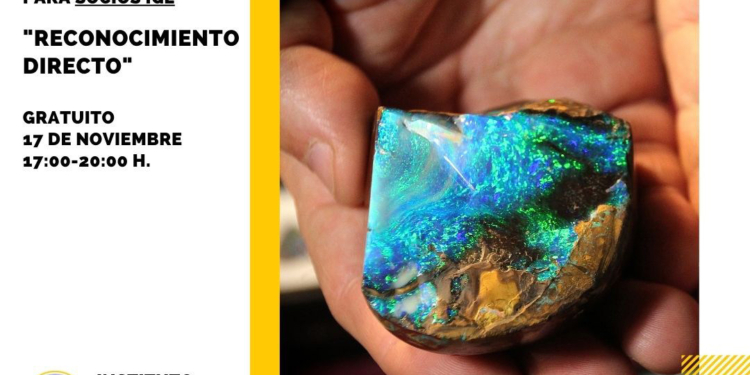 Nuevo taller del IGE: Reconocimiento directo de gemas