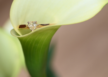 Una vez más, Laura Márquez expone en 1001 Bodas