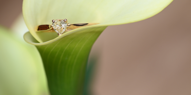 Una vez más, Laura Márquez expone en 1001 Bodas