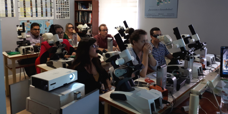 La Asociación de Tasadores programa sus primeros cursos presenciales post-Covid