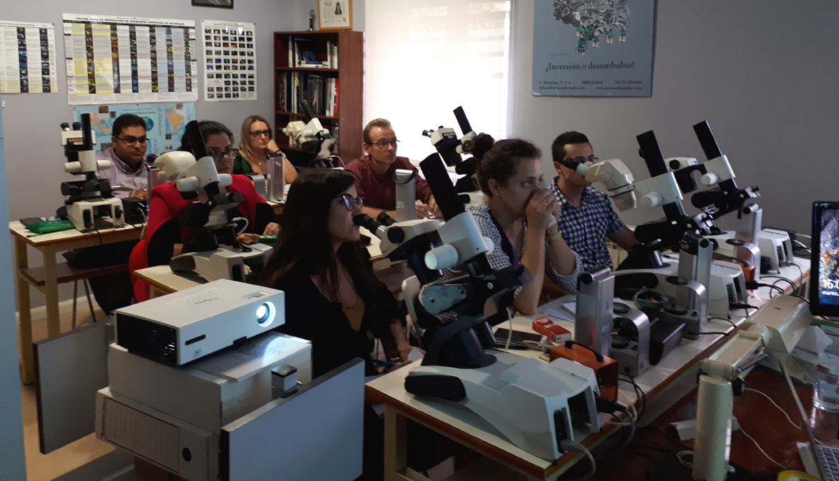 La Asociación de Tasadores programa sus primeros cursos presenciales post-Covid