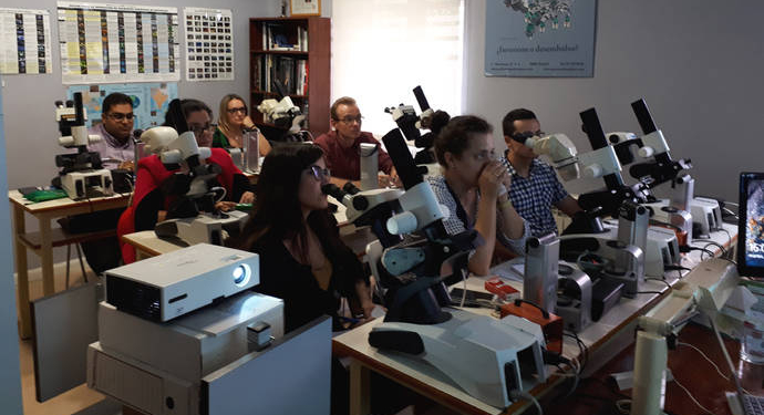 Abierta la matrícula para el curso del diamante del HRD en Madrid