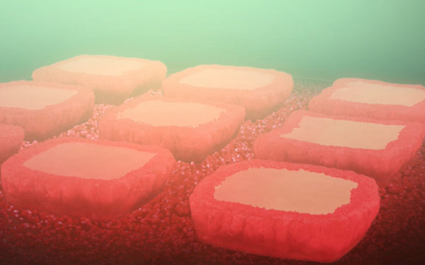 Amish Shah: Los diamantes sintéticos de color son una categoría esperando explotar