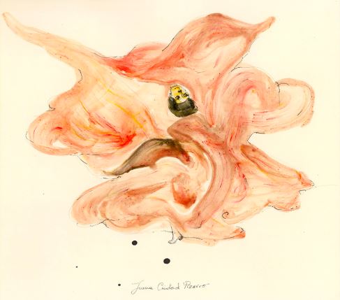 Juana Ciudad Pizzaro presenta ‘Mujeres en Danza’