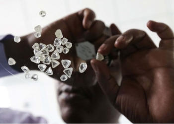 Facet, líder en progreso y sostenibilidad