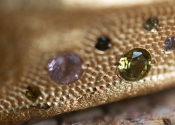 Clara & Beth lanza la nueva colección Nómada