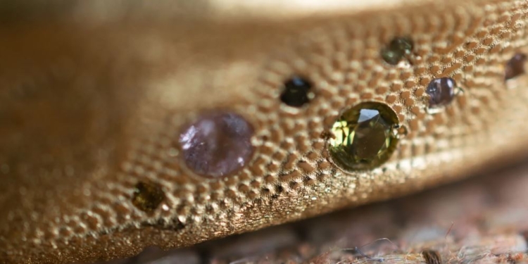 Clara & Beth lanza la nueva colección Nómada