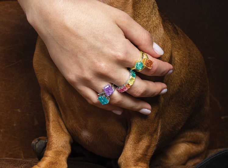 Luxenter propone una colección de invierno brillante