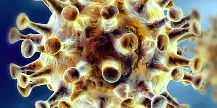 La esperanza en la vacuna Covid desinfla los precios del oro