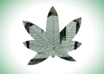 Diamante verde de 9,96 quilates ‘cannabis’