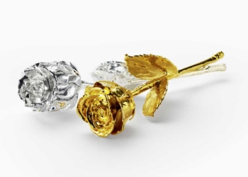 La ministra Robles, en la entrega de las rosas de Degussa