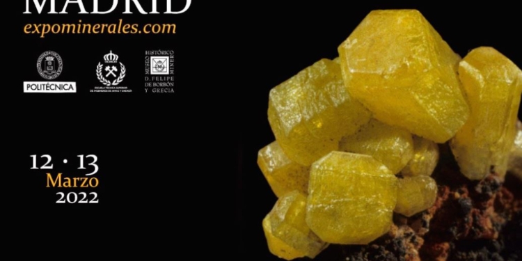 IGE: Firma de libros en la feria Expominerales