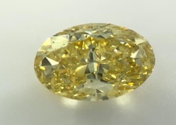 IGI: Diamantes de osos polares revividos en Canadá