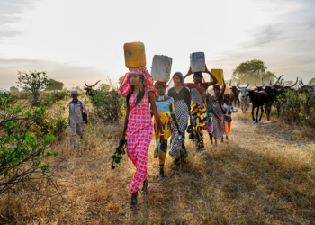 Rolex desvela los ganadores a la iniciativa 2021