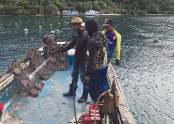 EE.UU amplía su embargo a las perlas birmanas