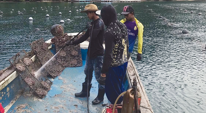 EE.UU amplía su embargo a las perlas birmanas