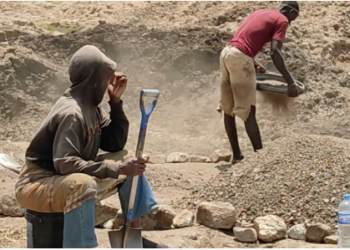 La ONG británica Raid no se cree el informe de Petra