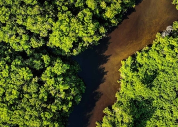 Abastecimiento responsable por los ODS 2030