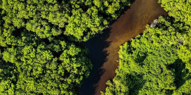 Abastecimiento responsable por los ODS 2030