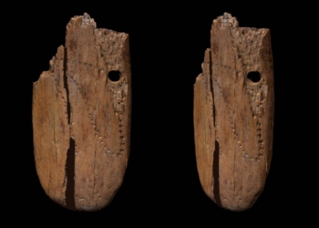 Un colgante de 41.500 años, el más antiguo de Eurasia