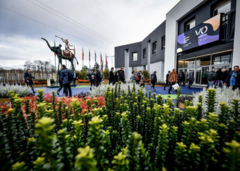 Cita joyera de los joyeros expertos, y de Rolex y Patek Philippe