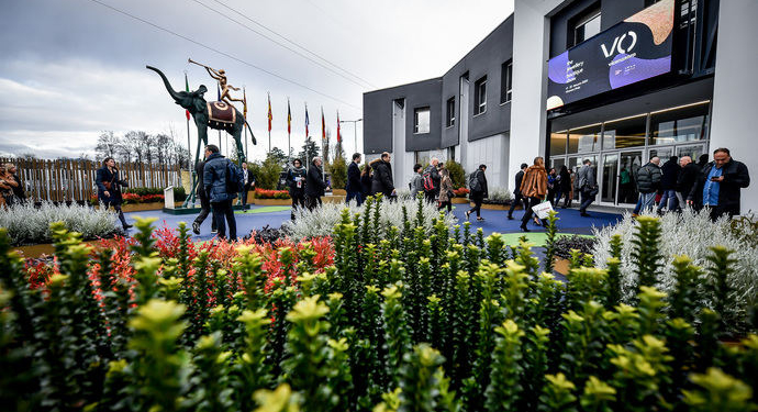 Cita joyera de los joyeros expertos, y de Rolex y Patek Philippe