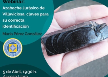 Webinar: ‘Azabache jurásico de Villaviciosa’