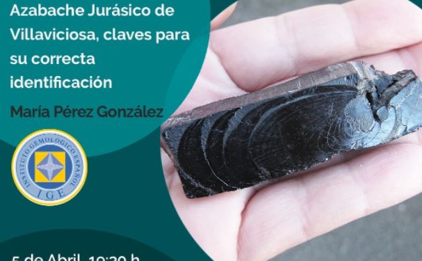 Webinar: ‘Azabache jurásico de Villaviciosa’