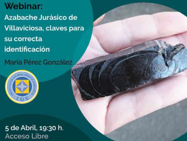 Webinar: ‘Azabache jurásico de Villaviciosa’