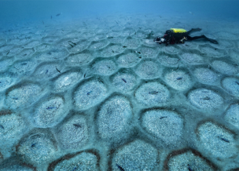 Blancpain financia una campaña para analizar los efectos del Covid sobre el fondo marino