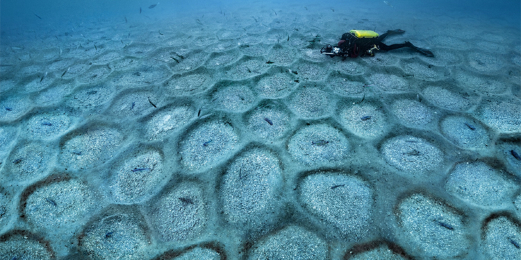Blancpain financia una campaña para analizar los efectos del Covid sobre el fondo marino