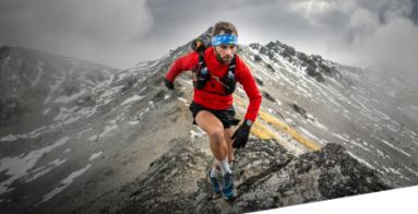 Garmin publica el informe de datos Garmin Connect