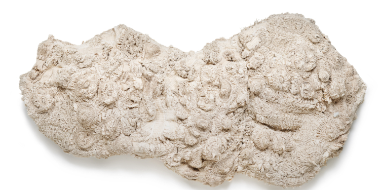 Abiertas las inscripciones al Loewe Foundation Craft Prize