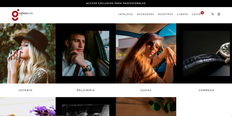 El proveedor tecnológico Engine Software estrena un portal para profesionales
