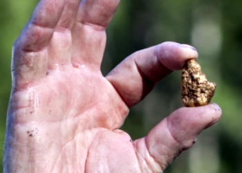 La industria del lujo está en condiciones de liderar el cambio hacia un modelo más sostenible