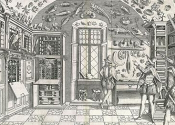 IGE: Gabinetes de curiosidades