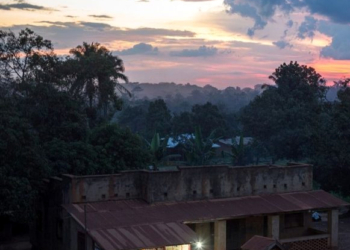 Lo que los virus enseñan. ¿Cómo puede afectar el Covid-19 a la minería artesanal del oro?
