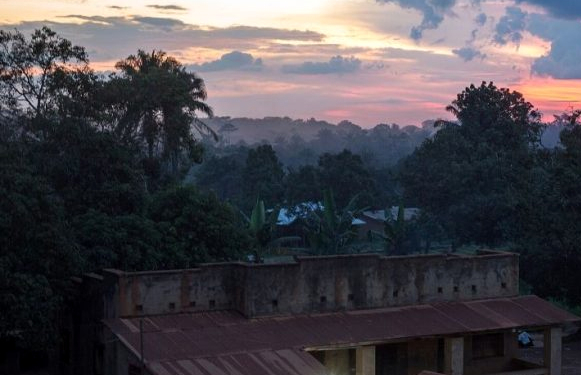 Lo que los virus enseñan. ¿Cómo puede afectar el Covid-19 a la minería artesanal del oro?