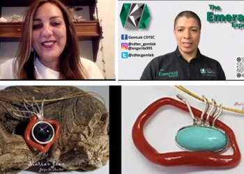 La responsabilidad del tasador: El experto detrás de la gema