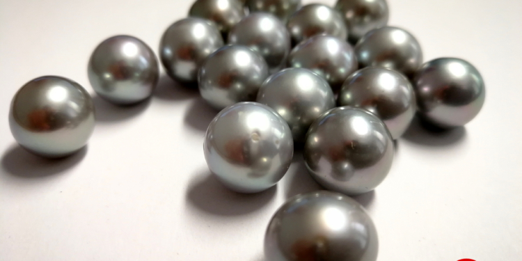 Nueva subasta exclusiva para profesionales:125 lotes de perlas cultivadas