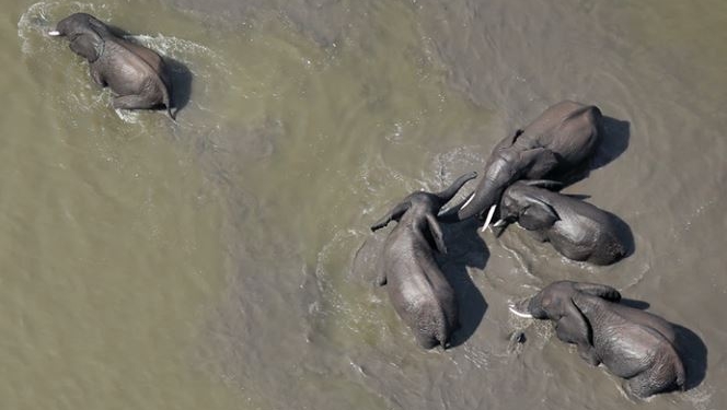 Ingresos de diamantes protegen el agua en África