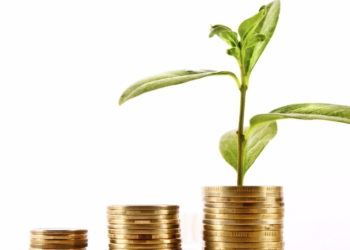 ¿Porqué las empresas deben poner el foco en la sostenibilidad?