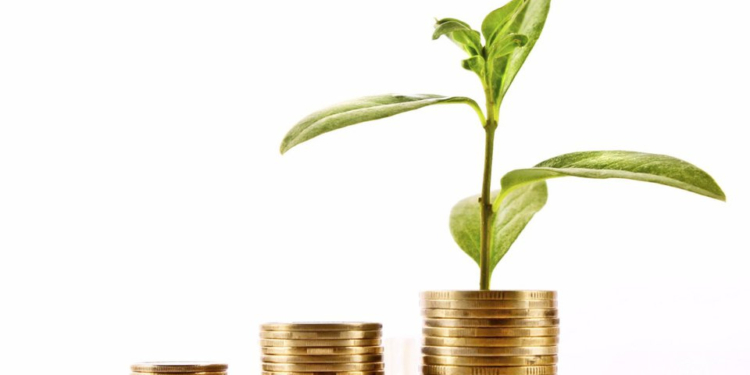 ¿Porqué las empresas deben poner el foco en la sostenibilidad?