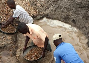 Concluye la investigación sobre abusos en una mina de Tanzania