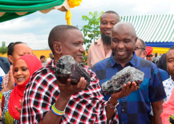 Millonario de la noche a la mañana: un agricultor descubre las dos tanzanitas más grandes hasta la fecha